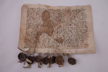 Dyplom Gnieźnieński  220 (1384, Kraków)