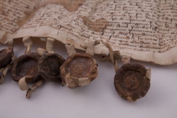 Dyplom Gnieźnieński  220 (1384, Kraków)
