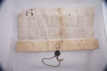 Dyplom Gnieźnieński  255 (1396 r., Rzym)