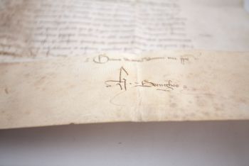 Dyplom Gnieźnieński  255 (1396 r., Rzym)